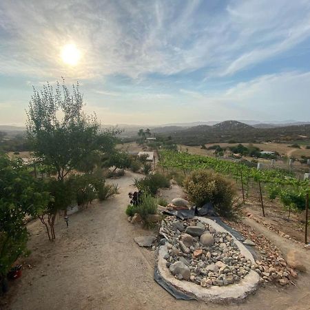 Chalet Nativo - Fabulous Terrace & Vineyard Valle de Guadalupe Εξωτερικό φωτογραφία