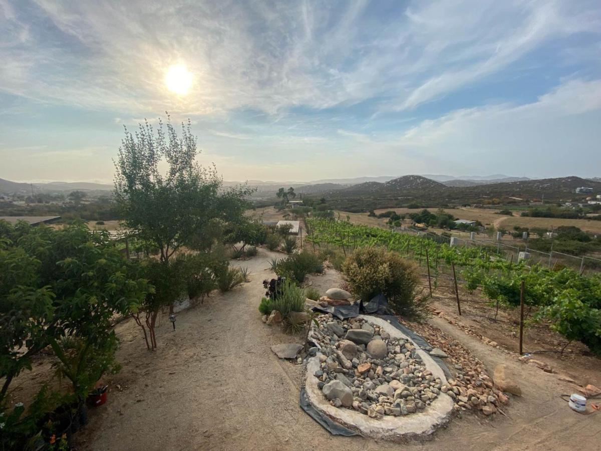 Chalet Nativo - Fabulous Terrace & Vineyard Valle de Guadalupe Εξωτερικό φωτογραφία